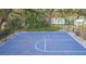 Outdoor basketball court at 2601 2Nd Ct, Palm Harbor, FL 34684