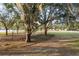 Playground nestled amongst trees near a lake at 2972 Lake Saxon Dr, Land O Lakes, FL 34639