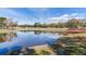 Tranquil pond with wooden dock and scenic reflection at 3050 Maple Trce, Tarpon Springs, FL 34688