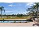 Stunning pool and patio with lush landscaping at 3050 Maple Trce, Tarpon Springs, FL 34688