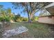 Large backyard with mature oak tree at 415 Country Club Dr, Oldsmar, FL 34677