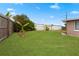 Spacious backyard with grassy lawn, wooden fence, and banana trees at 5147 Perennial Dr, Holiday, FL 34690