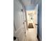 Bright hallway with light walls and wood-look flooring at 5508 Viola Lee Way, Lutz, FL 33558