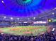 Night baseball game in progress with fans in the stands at 724 Bayshore Dr, Terra Ceia, FL 34250