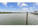 Serene view of the water with birds and vegetation at 19201 Vista Ln # C8, Indian Shores, FL 33785