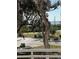 Partial view of a residential street and a body of water from a balcony at 231 2Nd S St # 203, Safety Harbor, FL 34695