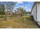 Rustic yard with wooden structures at 25555 Oaks Blvd, Land O Lakes, FL 34639