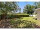 Landscaped backyard with lush greenery and a large hedge at 5500 Denver Ne St, St Petersburg, FL 33703