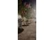 Landscaped pathway with flowering trees at night at 6709 Ranger Dr, Tampa, FL 33615