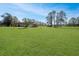 Large backyard with lush grass, trees, and detached garage at 10813 Dixon Dr, Riverview, FL 33579