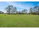 Large backyard with lush grass, trees, and detached garage at 10813 Dixon Dr, Riverview, FL 33579