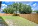 Large fenced backyard with grassy area and mature tree at 11505 Blackbark Dr, Riverview, FL 33579