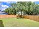 Spacious backyard with wooden fence and large tree at 11505 Blackbark Dr, Riverview, FL 33579