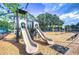 playground with slides and swings at 11505 Blackbark Dr, Riverview, FL 33579