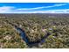 Wide aerial view of the neighborhood, showcasing the property's waterfront access at 1214 E Park Cir, Tampa, FL 33604