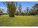 Serene pasture with lush grass and a water feature at 249 Dogwood Trce, Tarpon Springs, FL 34688