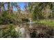 Serene pond with fountain in wooded area at 249 Dogwood Trce, Tarpon Springs, FL 34688