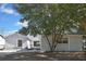 Newly renovated home with a fenced backyard and a large tree in front at 3332 Vorden St, New Port Richey, FL 34655