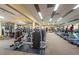 Fitness center with modern cardio and weight equipment at 36750 Us Highway 19 N # 15118, Palm Harbor, FL 34684