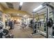 Well-equipped gym with various weight machines at 36750 Us Highway 19 N # 15118, Palm Harbor, FL 34684
