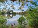 Serene water view from the backyard, showcasing lush greenery at 4666 86Th N Ave, Pinellas Park, FL 33782