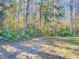 Spacious backyard with lush vegetation and natural wooded area at 11620 Eastern Star Ct, New Port Richey, FL 34654