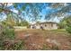 Backyard view of home, mature trees, and wooden fence at 1230 32Nd N St, St Petersburg, FL 33713