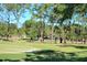 Lush green golf course with tall trees at 1658 Macdonnell Ct, Palm Harbor, FL 34684