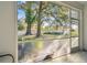 View from screened patio of backyard and trees at 4207 Key Thatch Dr, Tampa, FL 33610