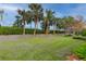 Landscaped backyard with lush green grass and palm trees at 4936 Sandy Brook Cir, Wimauma, FL 33598