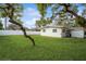 Large backyard with a shed, green grass and mature trees at 51 Lexington Dr, Dunedin, FL 34698