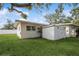 Backyard view with shed and lush green grass at 51 Lexington Dr, Dunedin, FL 34698