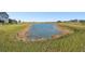 Scenic pond view adjacent to the property at 10374 Echo Dock Loop, San Antonio, FL 33576