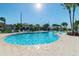 Inviting circular pool perfect for leisure and relaxation at 10374 Echo Dock Loop, San Antonio, FL 33576