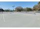 Well-maintained tennis courts at 17546 Fairmeadow Dr, Tampa, FL 33647