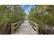 Wooden boardwalk path through lush greenery at 2201 Park N St, St Petersburg, FL 33710