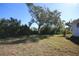Large backyard with mature trees and grassy area at 801 Woodruff Ave, Clearwater, FL 33756