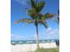 Palm trees frame a scenic view of a beach with umbrellas at 11398 88Th Ave, Seminole, FL 33772