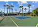 Outdoor pickleball court with surrounding palm trees at 1230 Lyndhurst Greens Dr # 13, Sun City Center, FL 33573