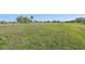 Spacious grassy lot in a tranquil community setting at 2315 New Orchard Ct, Sun City Center, FL 33573