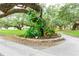 Landscaped garden with lush plants around a tree at 37015 Sandra Ave, Zephyrhills, FL 33542