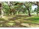 Lush green park with large oak trees at 37015 Sandra Ave, Zephyrhills, FL 33542