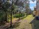 Landscaped backyard with lush greenery at 8958 White Sage Loop, Lakewood Ranch, FL 34202