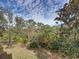 Wooded backyard with mature trees and plants at 8958 White Sage Loop, Lakewood Ranch, FL 34202
