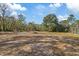 Serene backyard setting with natural landscape at 12575 Maleo Rd, Weeki Wachee, FL 34614