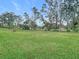 Expansive grassy backyard with mature trees, providing ample space at 13100 Pebble Beach Cir, Hudson, FL 34667