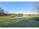 Landscaped backyard with pond view at 5608 Sunset Falls Dr, Apollo Beach, FL 33572