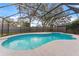 Inviting kidney-shaped pool with screened enclosure at 16013 Eagle River Way, Tampa, FL 33624