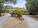 Landscaped front yard with a circular driveway at 1824 Southwood Ln, Clearwater, FL 33764