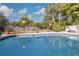 Relaxing kidney-shaped pool reflecting the sky at 2430 Roberta Ln, Clearwater, FL 33764